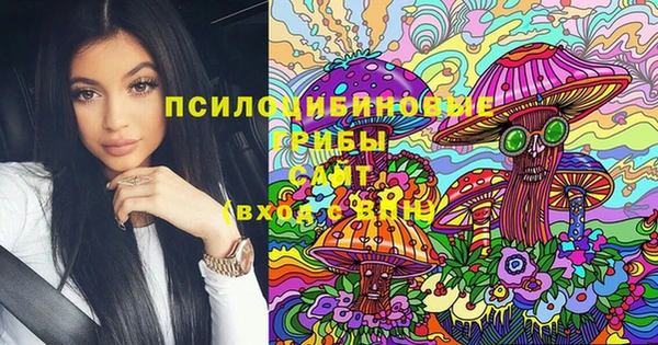 PSILOCYBIN Беломорск