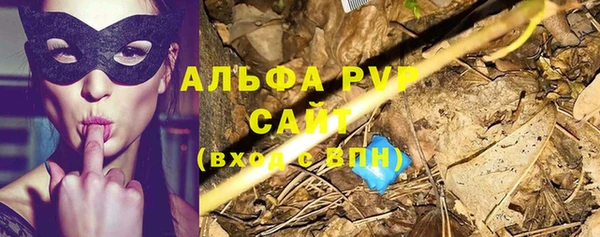 марки lsd Белокуриха