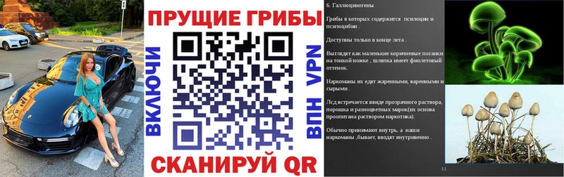 Галлюциногенные грибы GOLDEN TEACHER  наркошоп  Видное 